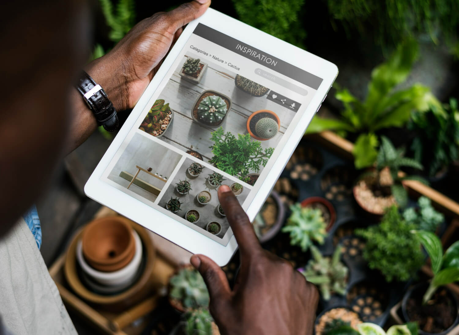 Integrated Farming Systems