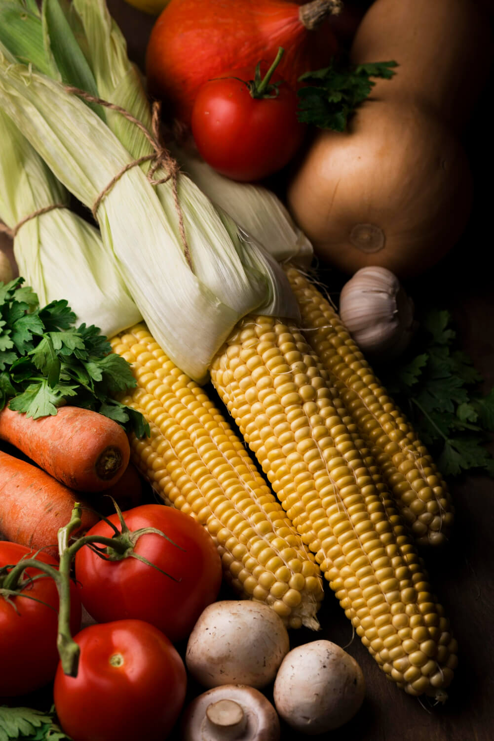 Productive & Resilient Farming