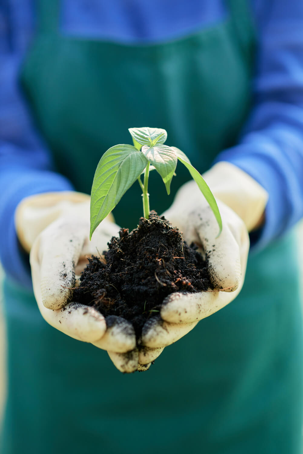 Sustainable Agriculture