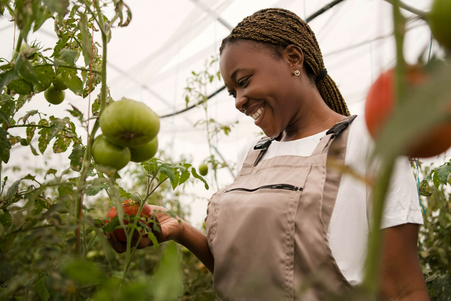 Agro-Allied Farming