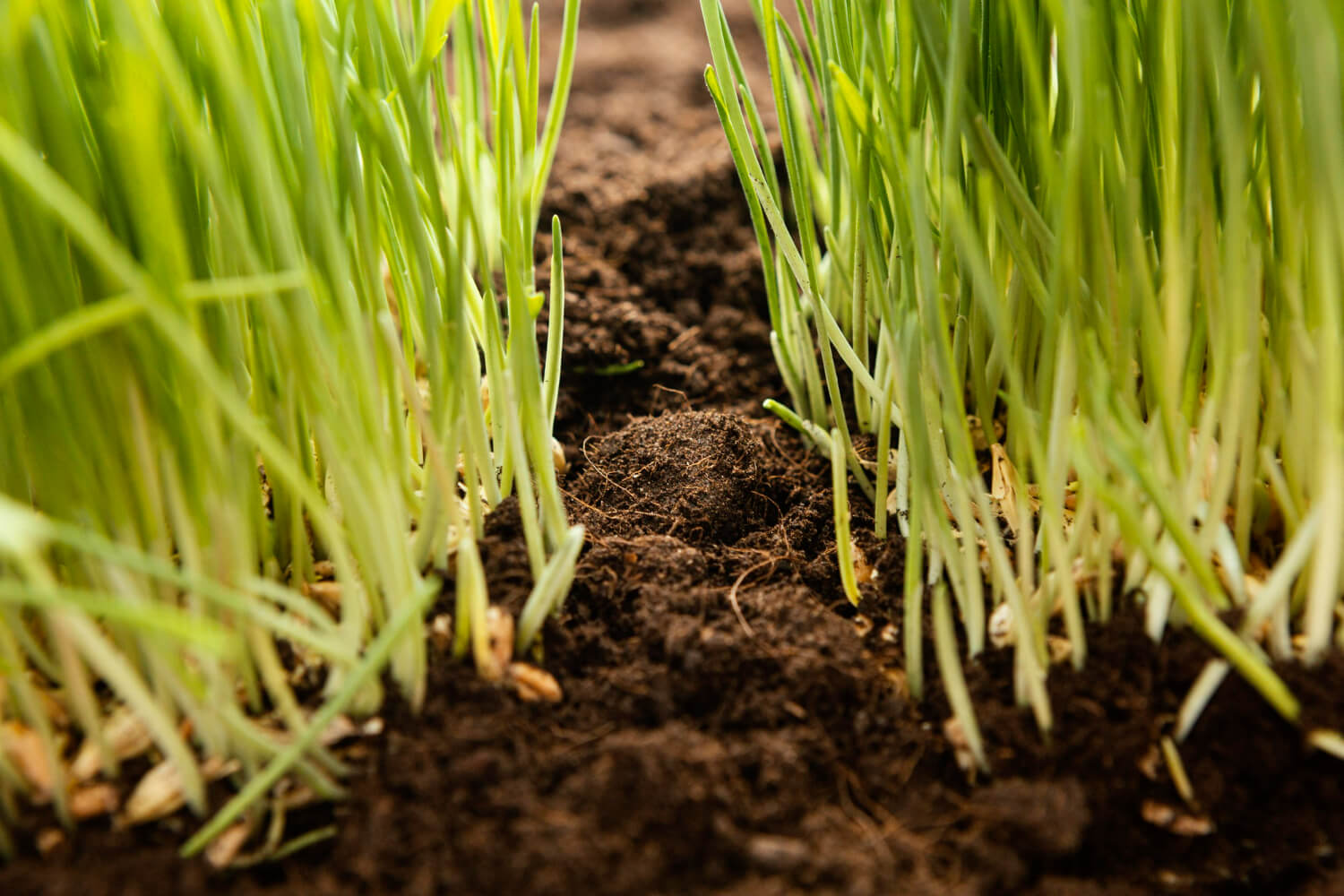 Precision Agriculture