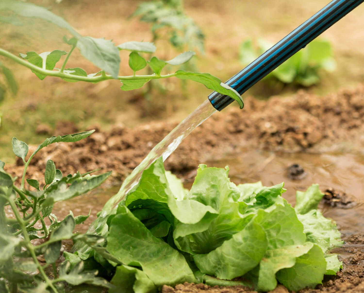 Smart Irrigation Systems