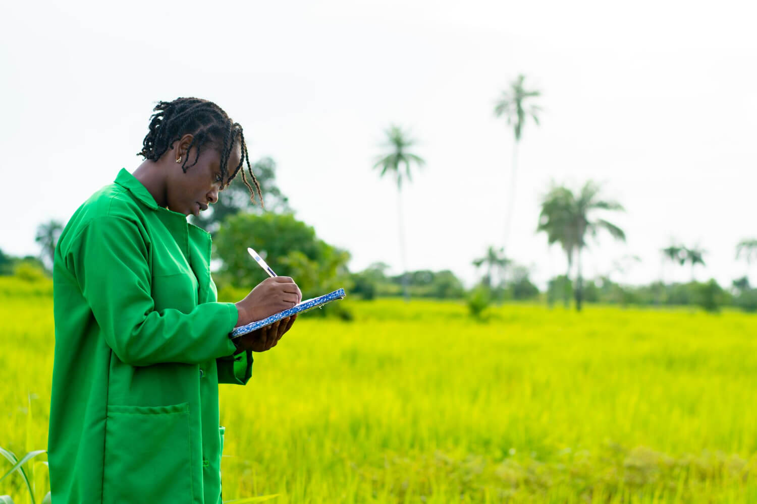 Sustainable Plantation Management