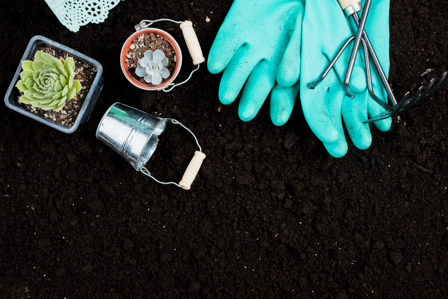 Soil Monitoring Technology